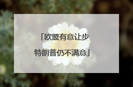 欧盟有意让步 特朗普仍不满意