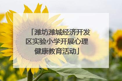潍坊潍城经济开发区实验小学开展心理健康教育活动