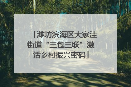 潍坊滨海区大家洼街道“三包三联”激活乡村振兴密码