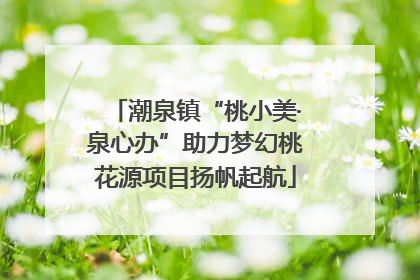 潮泉镇“桃小美·泉心办”助力梦幻桃花源项目扬帆起航