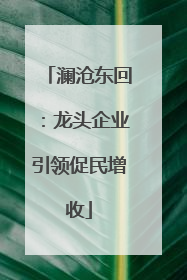 澜沧东回：龙头企业引领促民增收