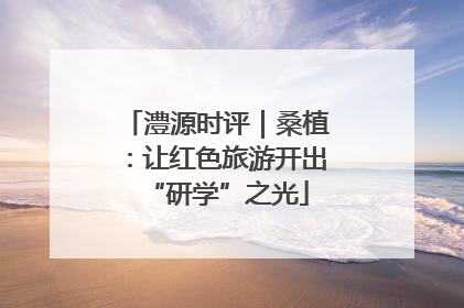 澧源时评｜桑植：让红色旅游开出“研学”之光