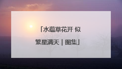 水蕴草花开 似繁星满天｜图集
