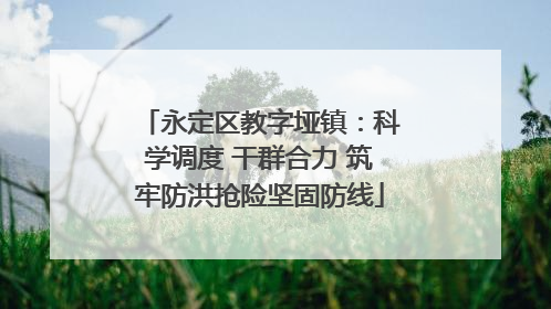 永定区教字垭镇：科学调度 干群合力 筑牢防洪抢险坚固防线