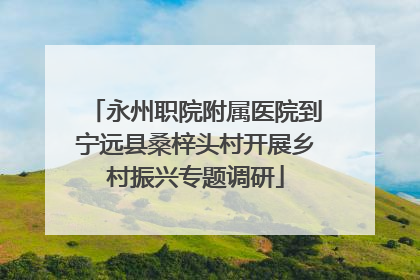 永州职院附属医院到宁远县桑梓头村开展乡村振兴专题调研