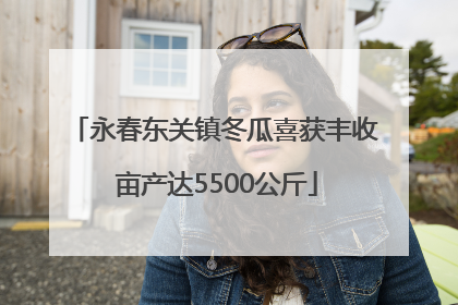 永春东关镇冬瓜喜获丰收 亩产达5500公斤