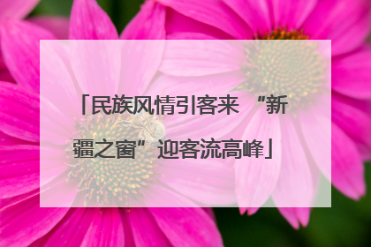 民族风情引客来 “新疆之窗”迎客流高峰