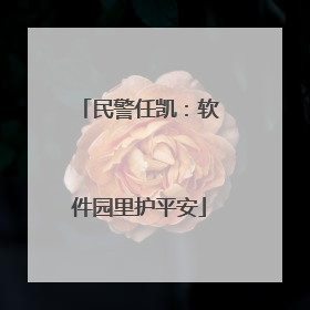 民警任凯：软件园里护平安