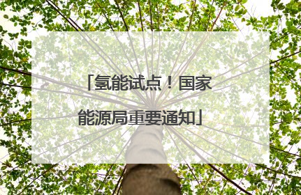 氢能试点！国家能源局重要通知