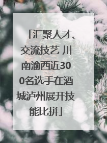 汇聚人才、交流技艺 川南渝西近300名选手在酒城泸州展开技能比拼