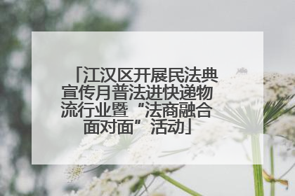 江汉区开展民法典宣传月普法进快递物流行业暨“法商融合面对面”活动