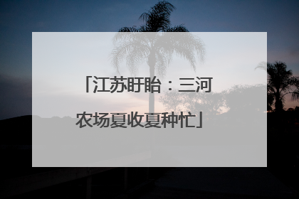 江苏盱眙：三河农场夏收夏种忙