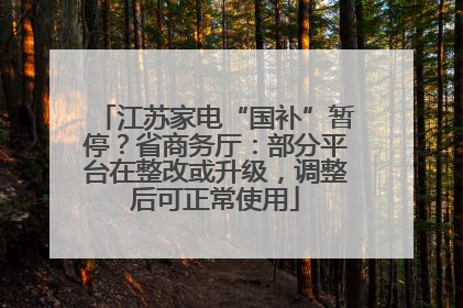 江苏家电“国补”暂停？省商务厅：部分平台在整改或升级，调整后可正常使用