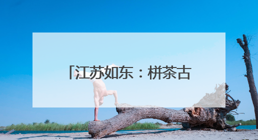 江苏如东：栟茶古镇端午解锁农文旅融合“新花样”