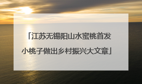 江苏无锡阳山水蜜桃首发 小桃子做出乡村振兴大文章