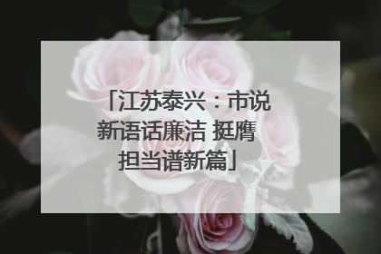 江苏泰兴：市说新语话廉洁 挺膺担当谱新篇