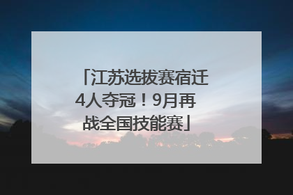 江苏选拔赛宿迁4人夺冠！9月再战全国技能赛