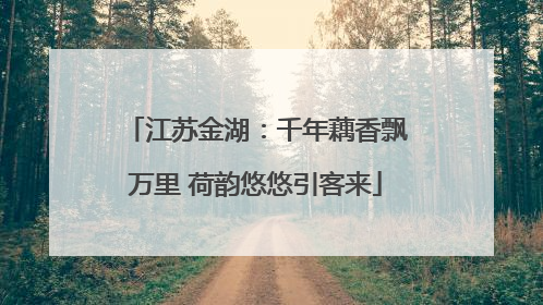 江苏金湖：千年藕香飘万里 荷韵悠悠引客来
