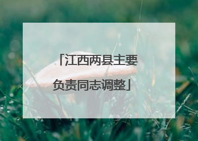 江西两县主要负责同志调整