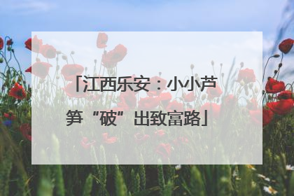 江西乐安：小小芦笋“破”出致富路