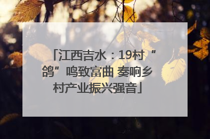 江西吉水：19村“鸽”鸣致富曲 奏响乡村产业振兴强音