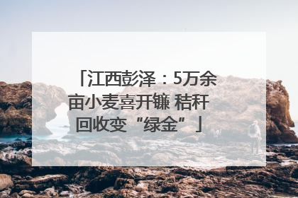 江西彭泽：5万余亩小麦喜开镰 秸秆回收变“绿金”