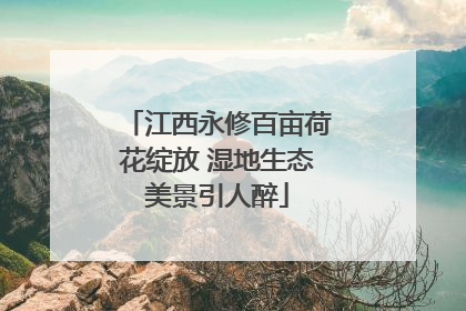 江西永修百亩荷花绽放 湿地生态美景引人醉