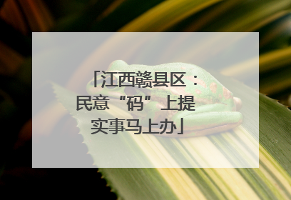 江西赣县区：民意“码”上提 实事马上办