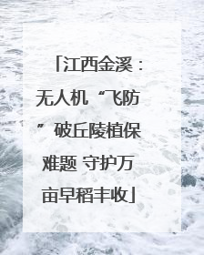 江西金溪：无人机“飞防”破丘陵植保难题 守护万亩早稻丰收