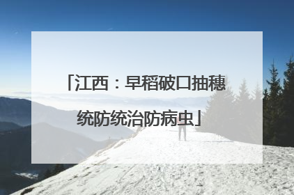 江西：早稻破口抽穗 统防统治防病虫