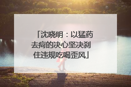 沈晓明：以猛药去疴的决心坚决刹住违规吃喝歪风