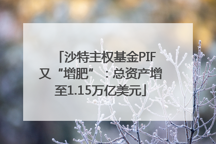 沙特主权基金PIF又“增肥”：总资产增至1.15万亿美元