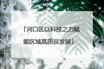 河口区以科技之力赋能区域高质量发展