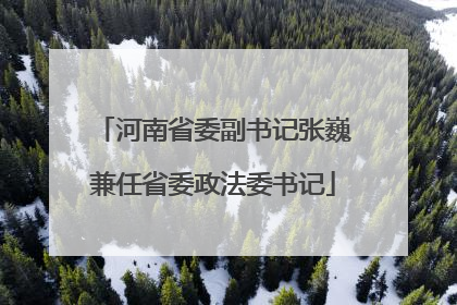河南省委副书记张巍兼任省委政法委书记