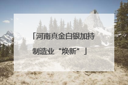 河南真金白银加持制造业“焕新”