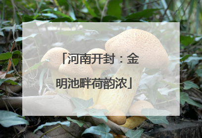 河南开封：金明池畔荷韵浓
