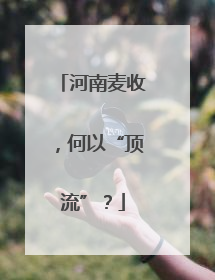 河南麦收，何以“顶流”？