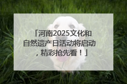 河南2025文化和自然遗产日活动将启动，精彩抢先看！