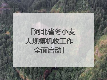 河北省冬小麦大规模机收工作全面启动