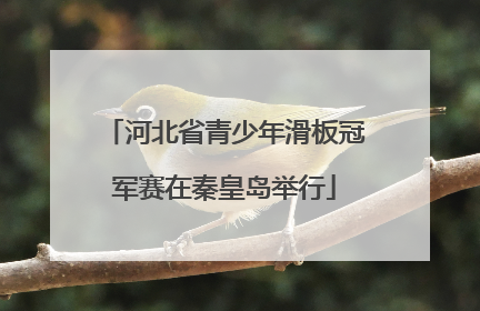 河北省青少年滑板冠军赛在秦皇岛举行