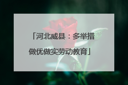 河北威县：多举措做优做实劳动教育