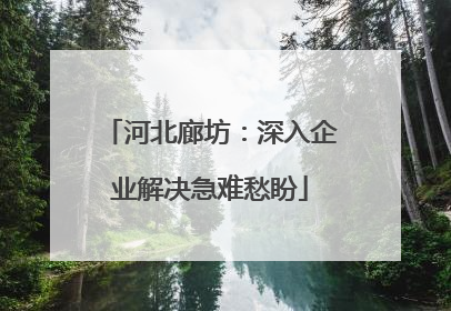 河北廊坊：深入企业解决急难愁盼