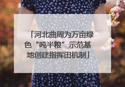 河北曲周为万亩绿色“吨半粮”示范基地创建指挥田机制