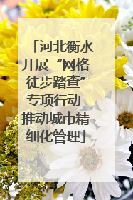 河北衡水开展“网格徒步踏查”专项行动 推动城市精细化管理