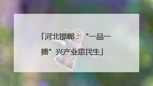 河北邯郸：“一品一播”兴产业惠民生