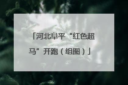 河北阜平“红色超马”开跑（组图）