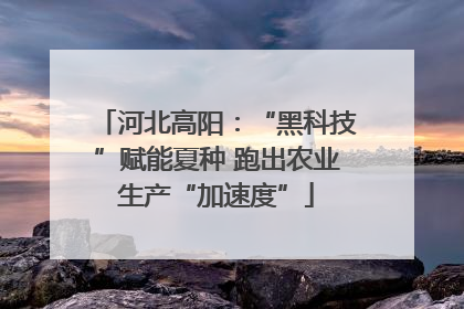 河北高阳：“黑科技”赋能夏种 跑出农业生产“加速度”