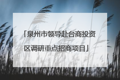 泉州市领导赴台商投资区调研重点招商项目
