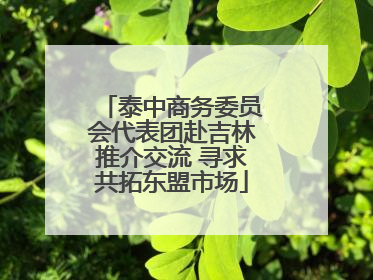 泰中商务委员会代表团赴吉林推介交流 寻求共拓东盟市场