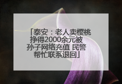 泰安：老人卖樱桃挣得2000余元被孙子网络充值 民警帮忙联系退回